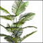 Palmier artificiel 86 "avec pot 86"