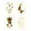 Antique Pressed Botanical Print by Sandy Whitaker