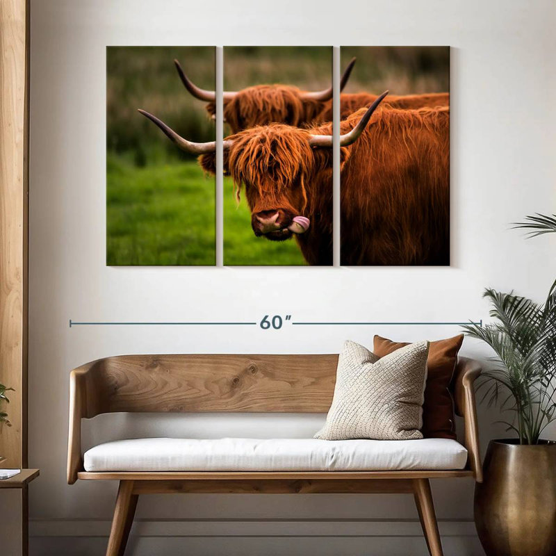 Brampt Fluffy Highland Cows, H 32 po x l 50 po