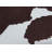 Daisy Upholstered Bench-262107629