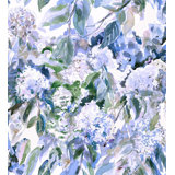 Hydrangea Garden