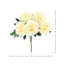 Peony Bunch - Set of 6-1496357771