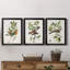 Oiseau antique, botanique et œuf I - ensemble de 3 peintures sur toile encadrées-1128397841-1128397842