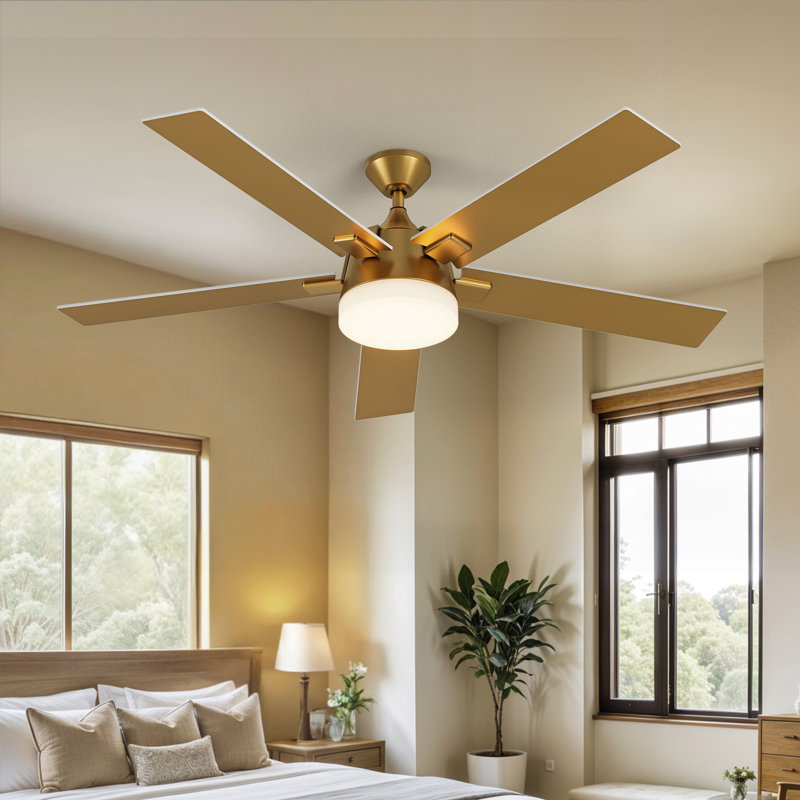 Betzie 52'' Ceiling Fan with LED Lights