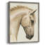 Golden Palomino I, reproduction encadrée - bois massif-959933677