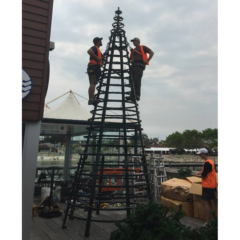 240' Lighted Fir Christmas Tree