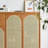 Multi Functional Rattan Shoe Storage Cabinet
