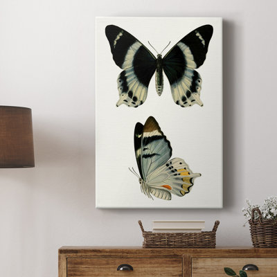 Papillons bleus antiques I - galerie Cavas sur mesure