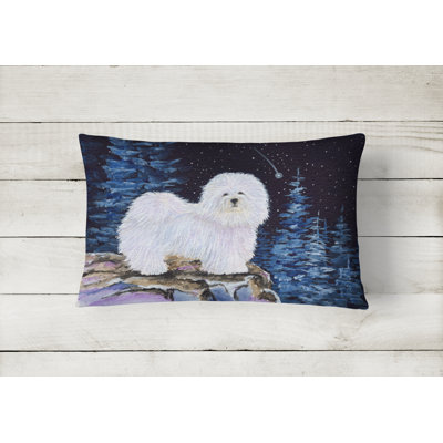 Starry Night Outdoor Reversible Throw Pillow