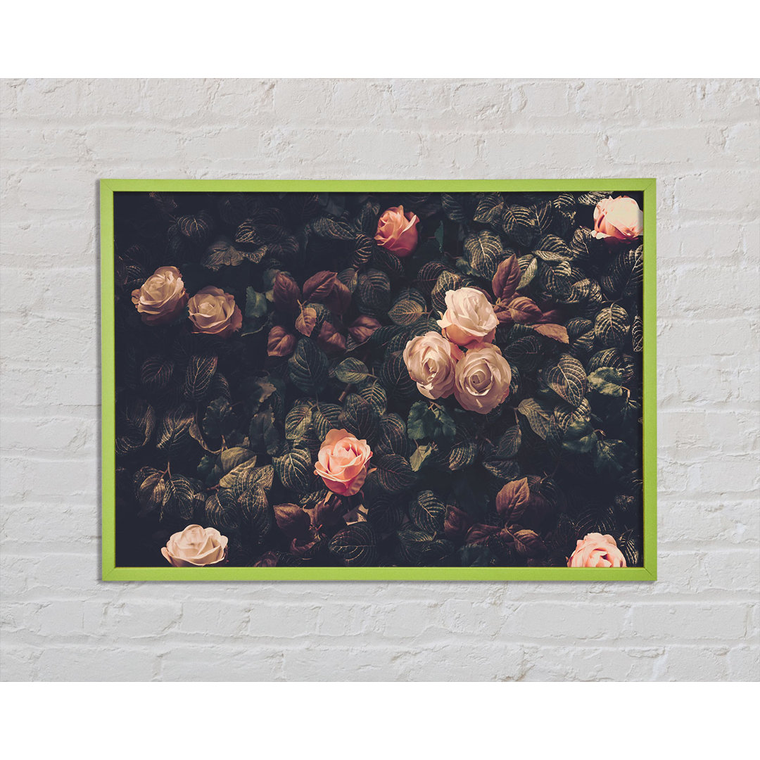 Cosner Pale Roses In Soft Greenery - Einzelner Bilderrahmen Kunstdrucke