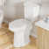21 Inch Tall Toilet, Extra Tall Toilets with Soft Closing Seat, Tall Toilet