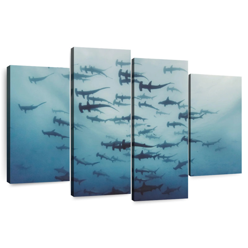 Brampt frisson de requins-marteaux, H 27 po x l 43 po