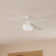 52" Dempsey 4 - Blade Standard Ceiling Fan with Remote Control and Light Kit Included