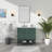 Latitude Run Bova 36 in. Single Bathroom Vanity with Engineered Stone Top-1494496879