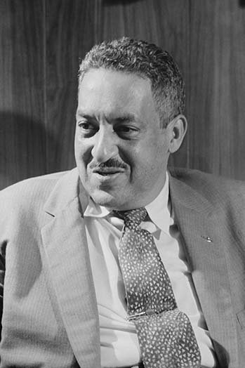 « thurgood marshall », reproduction de photo, H 36 po x l 24 po x P 1,5 po