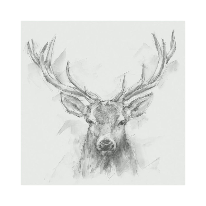 Reproduction d’art, "Contemporary Elk sketch I" par Ethan Harper, H 26 po x l 26 po x 1,5 po, Pas de tapis, Toile tendue