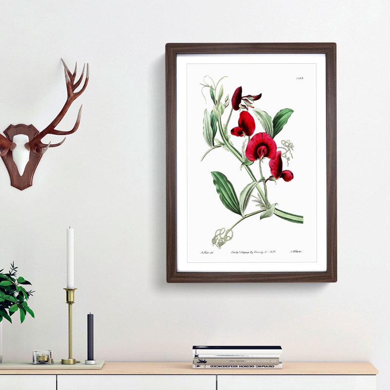 Red Tangier Pea Flowers - Picture Frame Painting Print, 36cm H x 27cm W x 2cm D, Walnut Framed