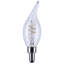 Reminiscent 4 Watt Clear LED Bulb