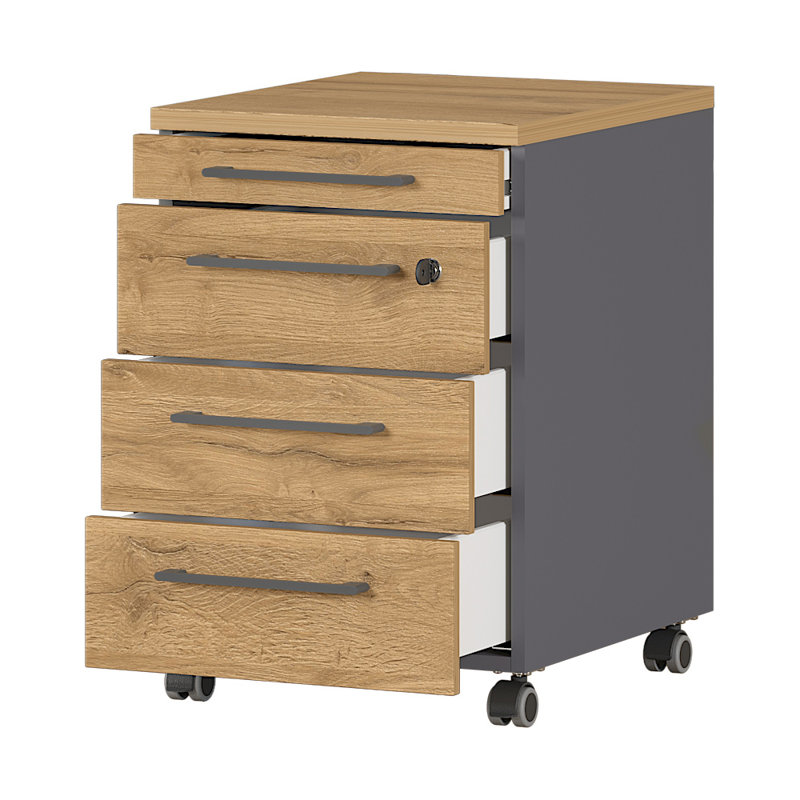 Miabella 41 cm W 4 -Drawer Filing Cabinet, Graphite/Oak