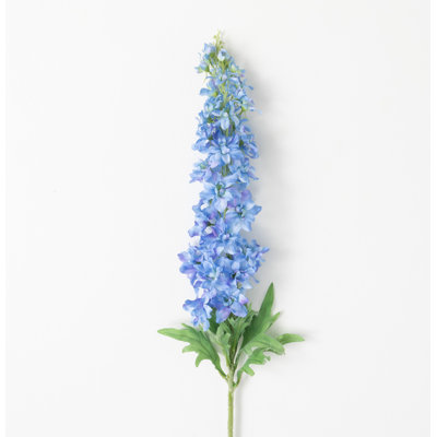 Tiges Mcnulty Sky-Delphinium