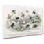 Assortment of Bees by Oliver Goldsmith - Wrapped Canvas-55367334