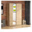 Cashlynn Manufactured Wood Wardrobe-1065314719