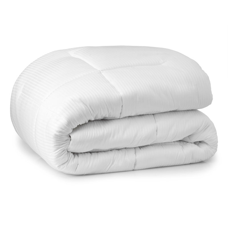 Édredon en duvet de coton de qualité égyptienne Martha Stewart, Très grand