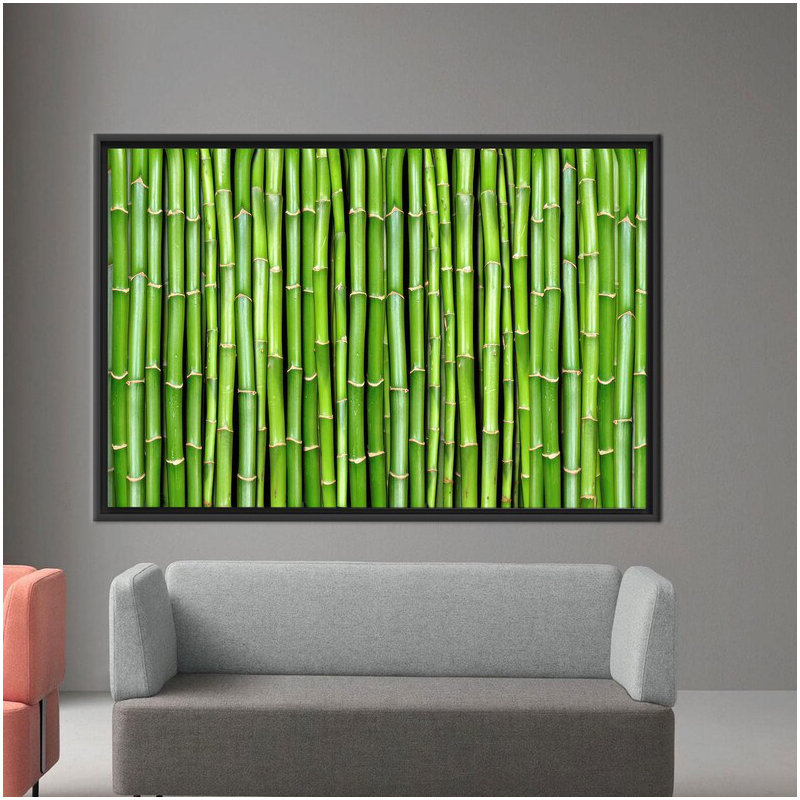 Print on Canvas, Black Floater Framed, 20 cm H x 30 cm W