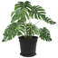 Pot Planter-52013144-52013146
