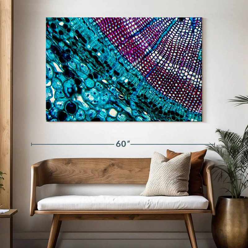 Keiri Pine Stem Under Microscope, 34" H x 51" W