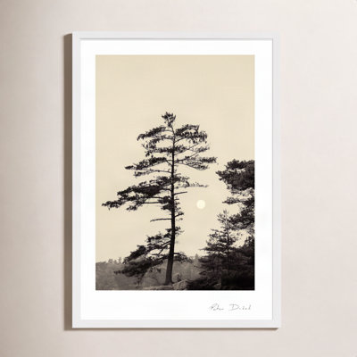 Garden Sign "Serenity" Print by Peter Dušek