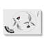Two Birds & Butterfly by Taguchi Tomoki - Wrapped Canvas Painting-55302354