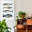 « Four Fish I », reproduction d’art sur toile tendue-1562861343