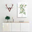 De Candolles White Rose by Luo Ping - Wrapped Canvas-55342468