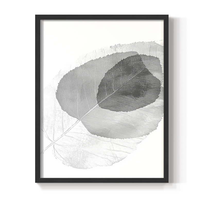 Floral XLI, reproduction encadrée - prête à être accrochée - fabriquée aux États-Unis, H 20 po x l 16 po, Noir