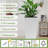Square Planter, Plastic Planter For Indoor, Outdoor-1044290105-1044290107