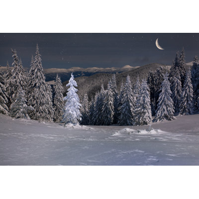 Snowy Landscape - Wrapped Canvas Print