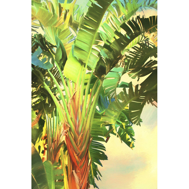 «Bird of Paradise Palm I», impression sur toile, H 18 po x l 12 po, Toile tendue