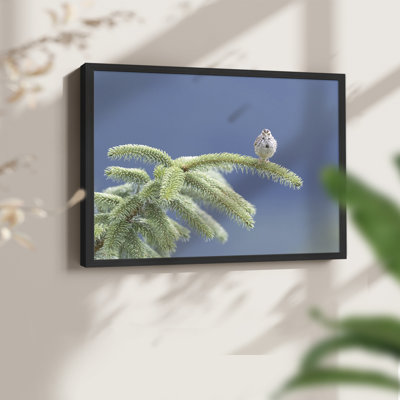 Evergreen Perch -Framed Print - Restickable