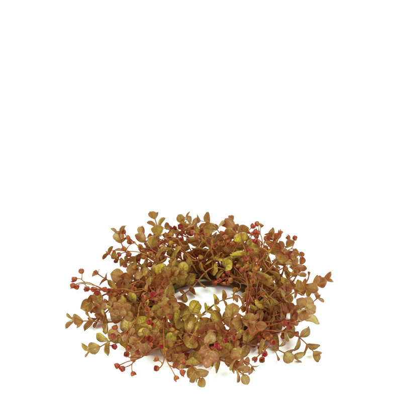 Couronne en plastique 10 po Wilbur Eucalyptus