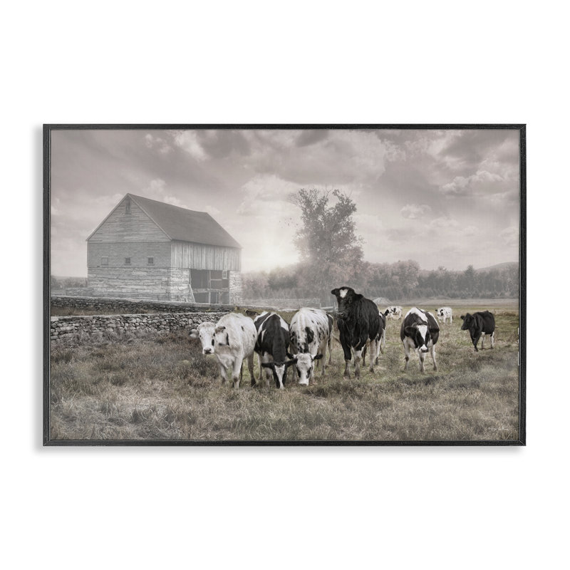 Vaches sur le ranch, estampe numérique, design par Robin-Lee Viera, H 12 po x l 18 po, Giclée encadrée noir minuit