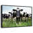 Floating Frame Black