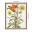 «Dutch Florals V», reproduction d'art sur toile encadrée-102458551