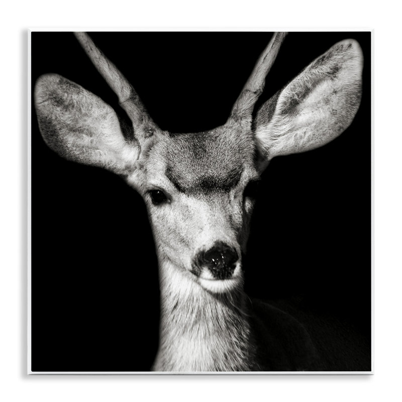 «Gazing Deer Portrait» par Kathy Mansfield