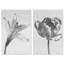 Peeking Flowers Set Set by Oliver Gal-1060062544-1060062562