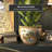 Diandrea Porcelain Urn-478847983-427631635