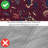 Blooming Blossoms Microfiber Quilt Set-1355778008-1355777990
