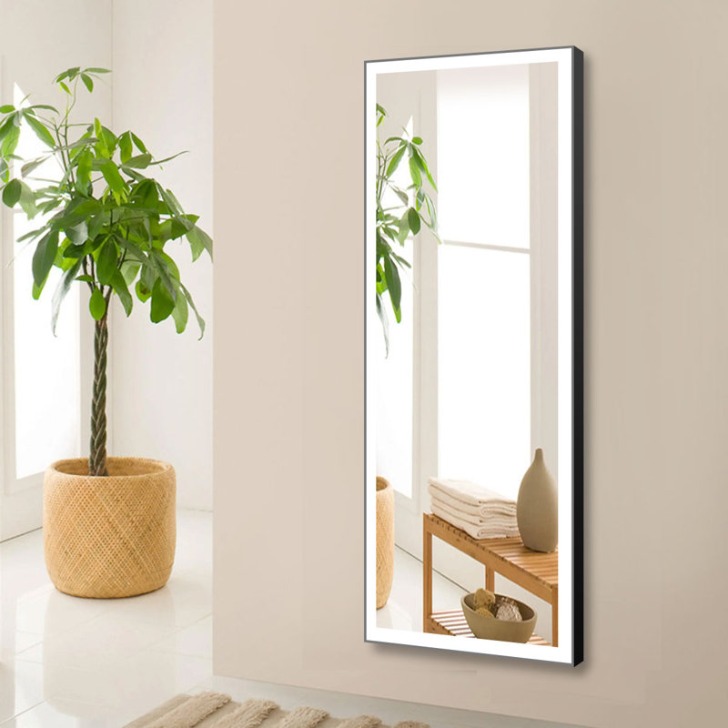 Miroir mural Cadense, 24 po x 64 po
