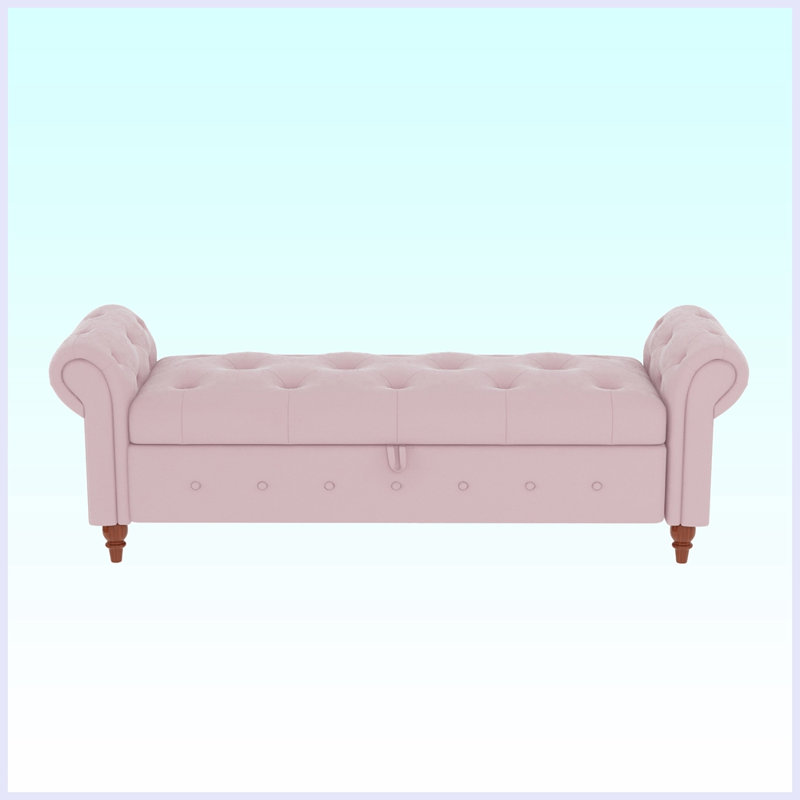 Xamiera Polyester Upholstered Storage Bench, Pink