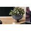 Bol décoratif en cuivre Murley-8524258